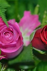 &quot;Flower Delivery Banks Oregon